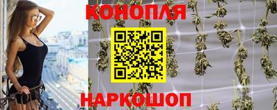 прущие грибы Пыть-Ях