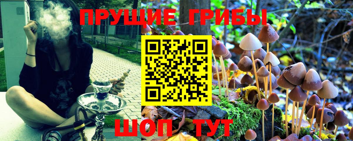 Псилоцибиновые грибы MAGIC MUSHROOMS  Вход с VPN  Псилоцибиновые грибы прущие грибы  Сегежа 